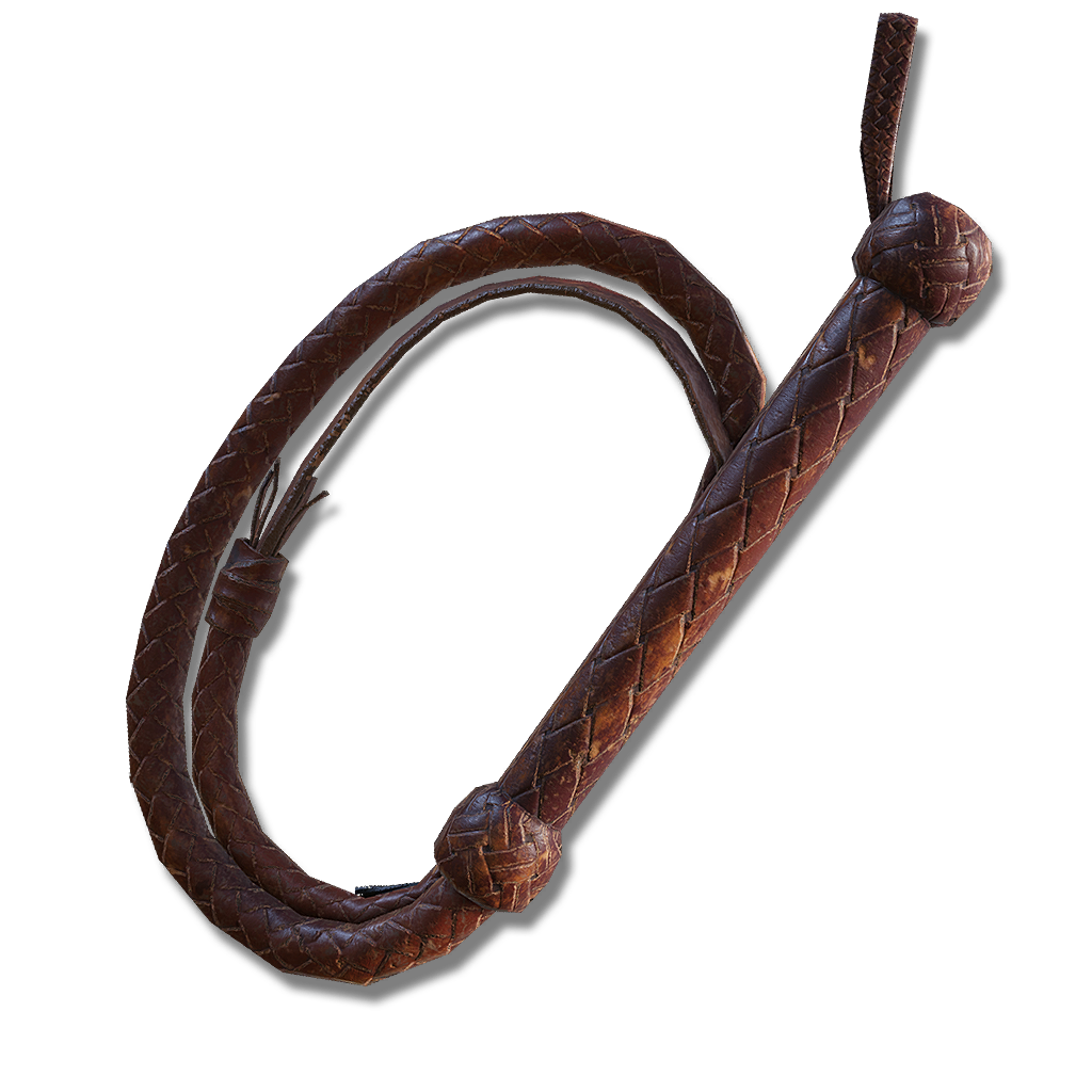 10760 Whip armaments