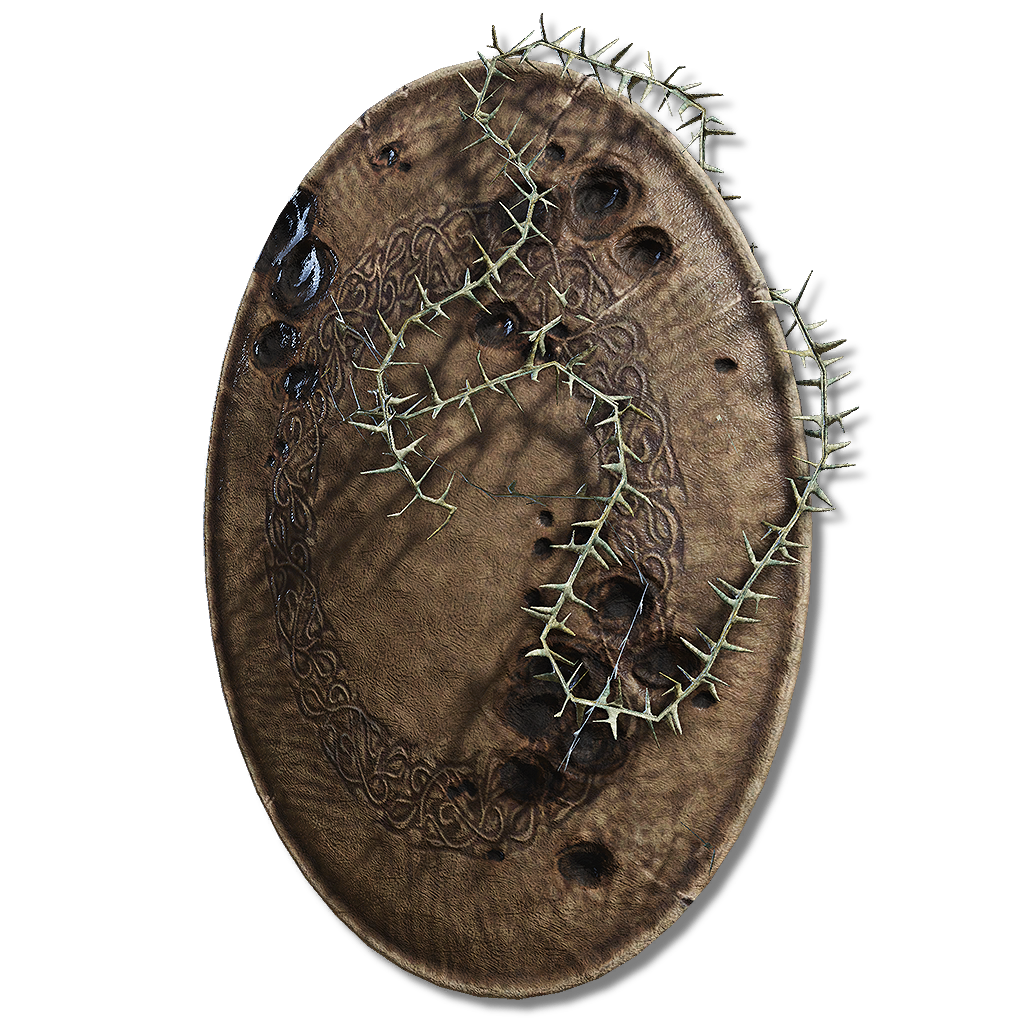 12041 Marred Leather Shield armaments