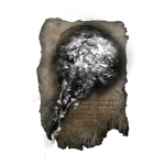 6203 Black Flame spells 6203 Black Flame spells