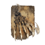 6402 Beast Claw spells 6402 Beast Claw spells