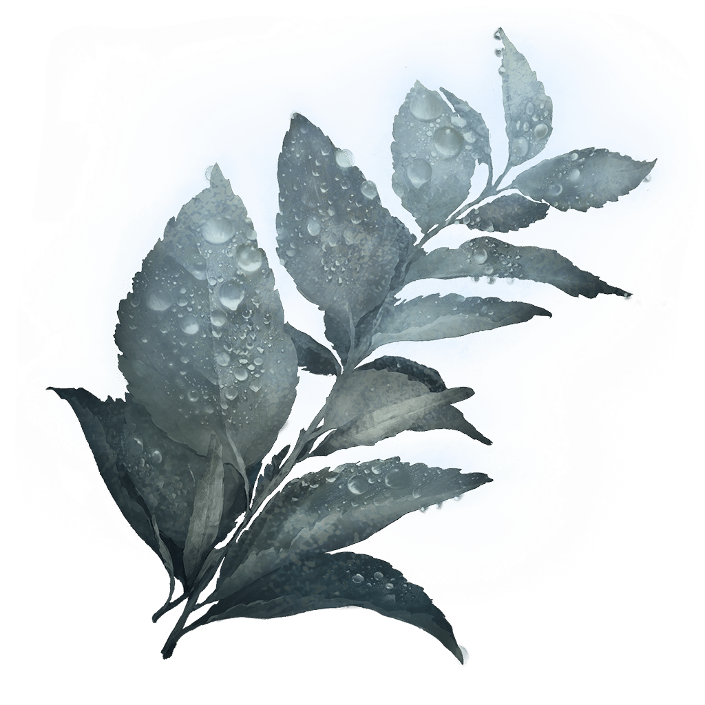 1008 Dewkissed Herba crafting materials