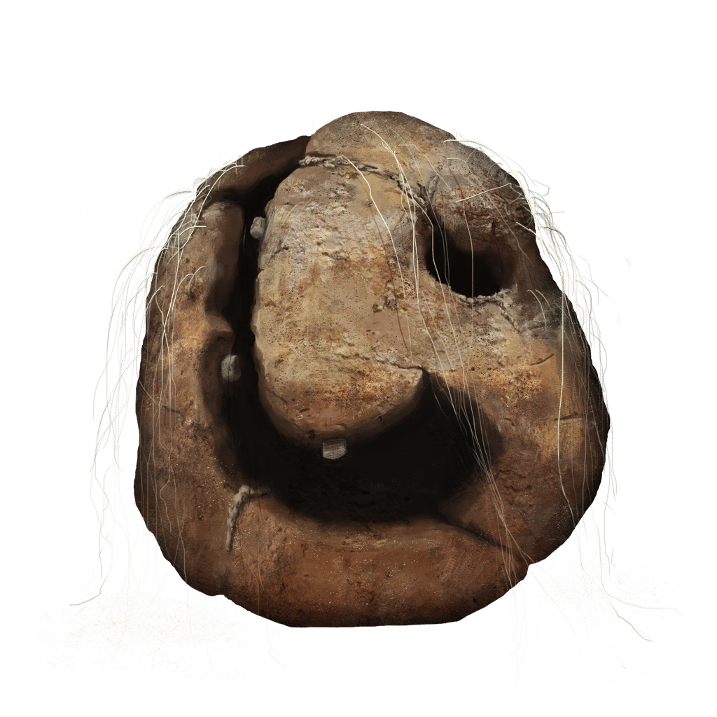 100 Prattling Pate My beloved tools