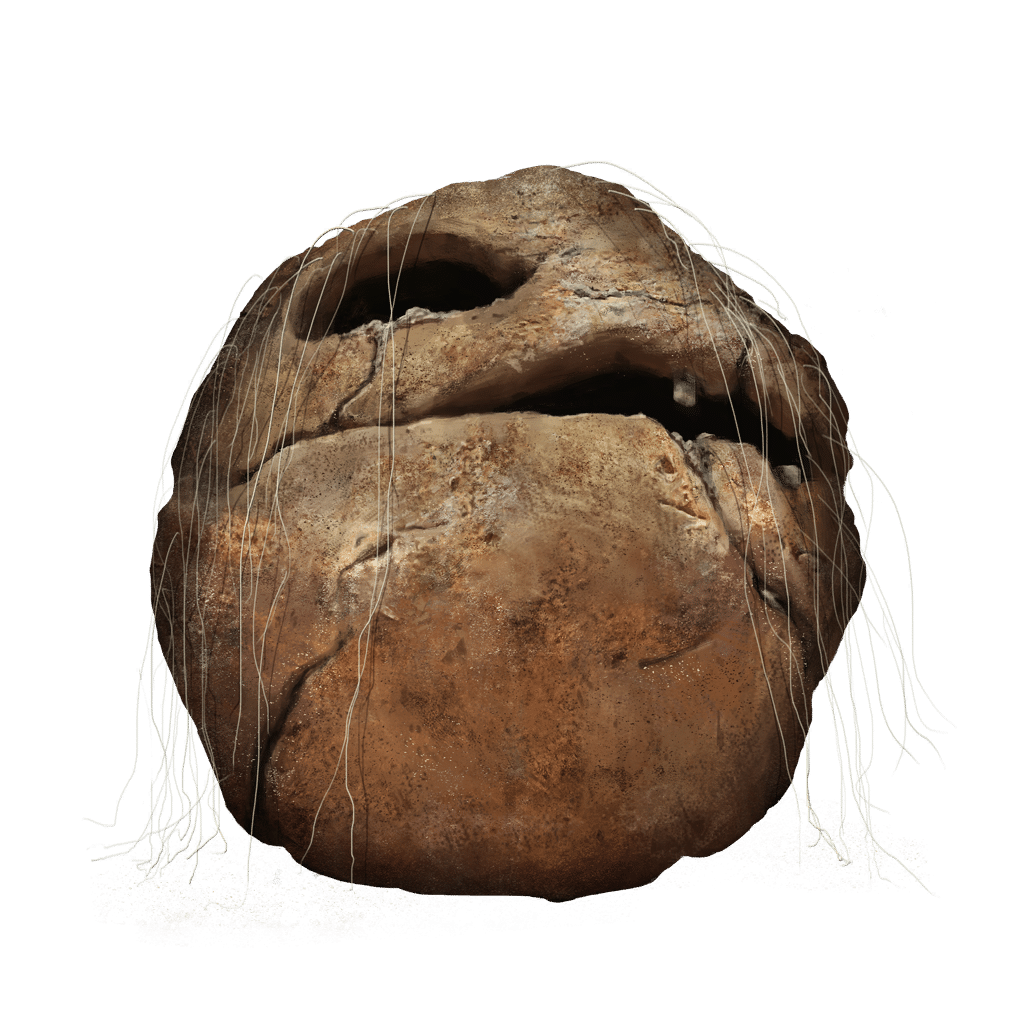 101 Prattling Pate Lets get to it tools