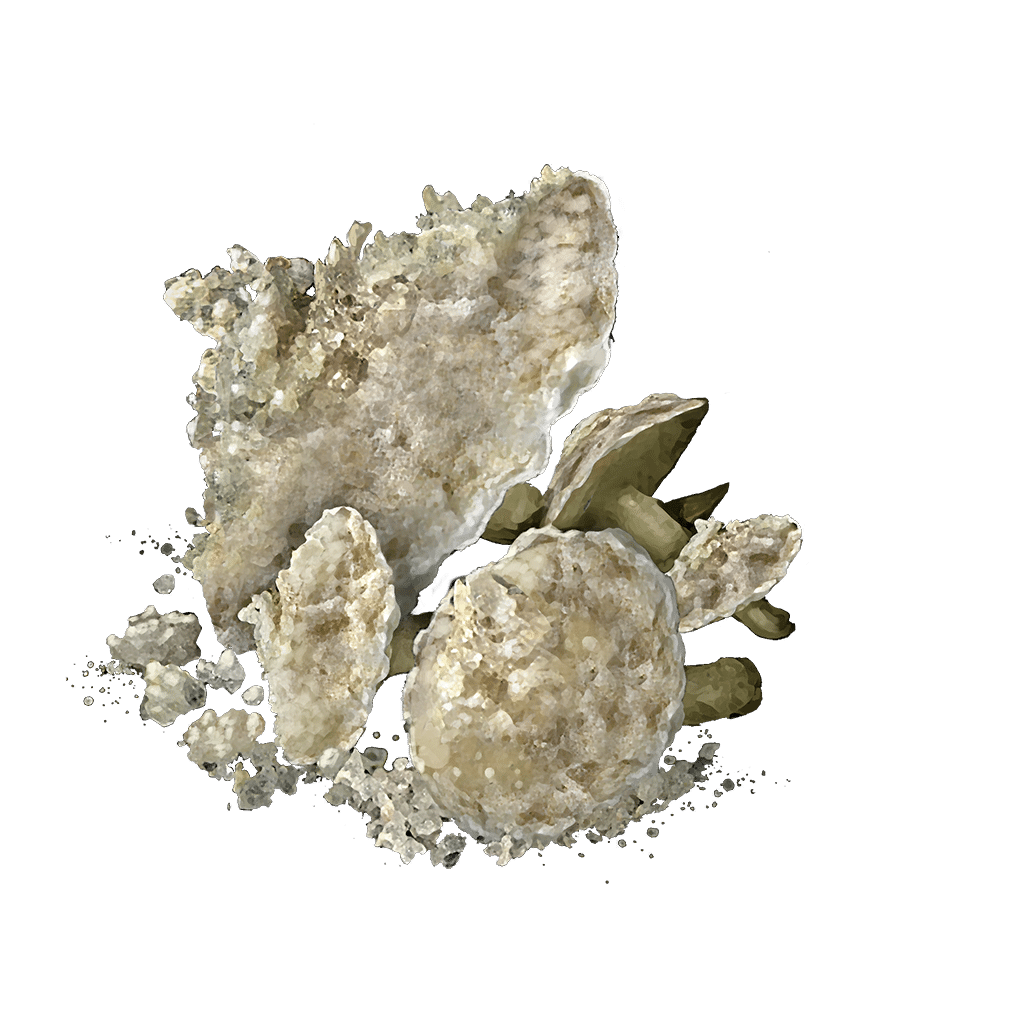 1024 Mushroom crafting materials