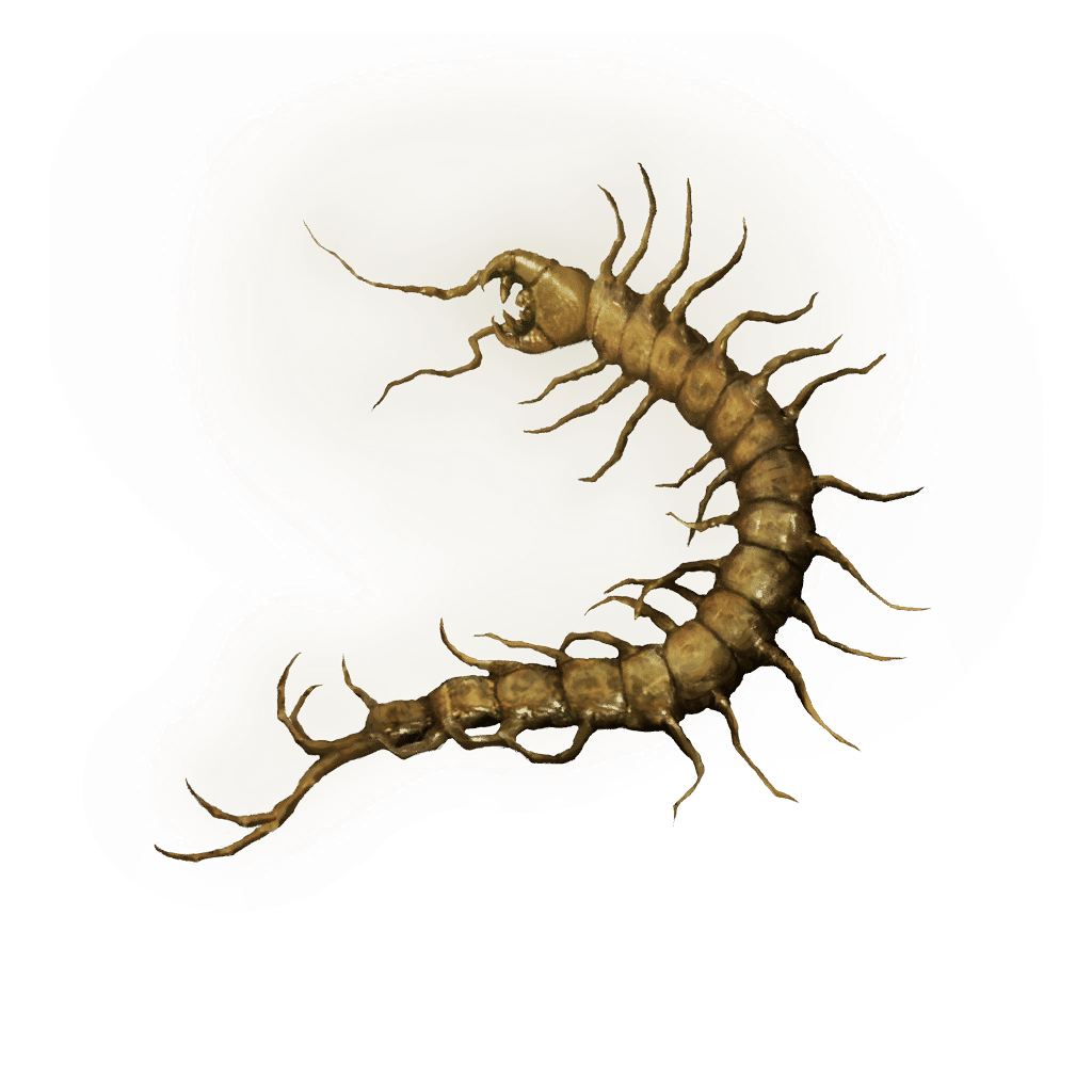 1030 Golden Centipede crafting materials