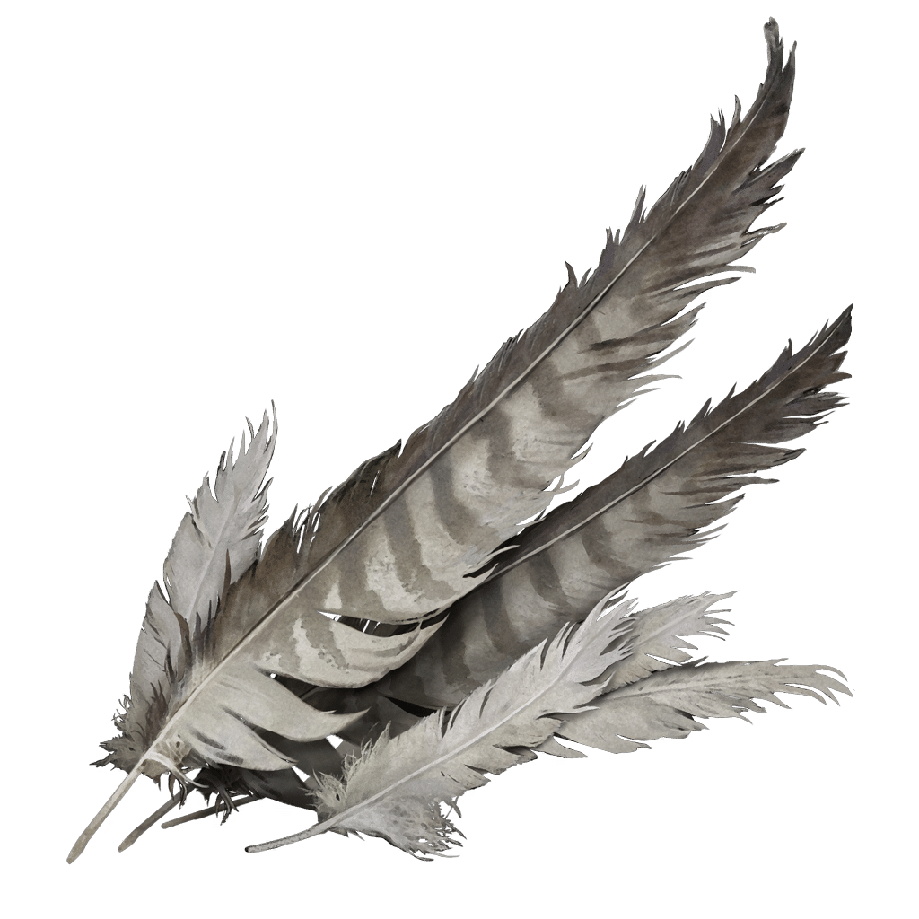 1047 Stormhawk Feather crafting materials