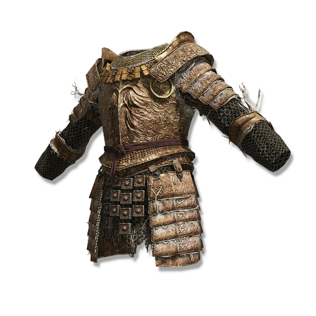 13491 Cleanrot Armor Altered armor 13491 Cleanrot Armor Altered armor