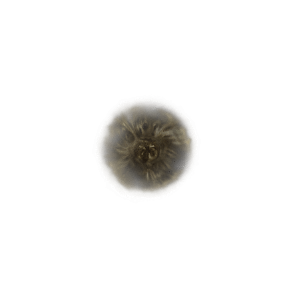144 Golden Rune 2 tools