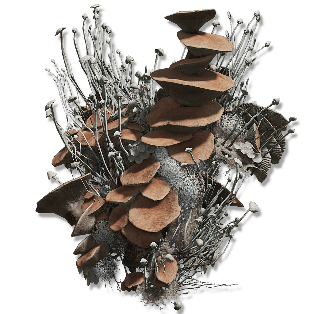 14941 Mushroom Body armor 14941 Mushroom Body armor