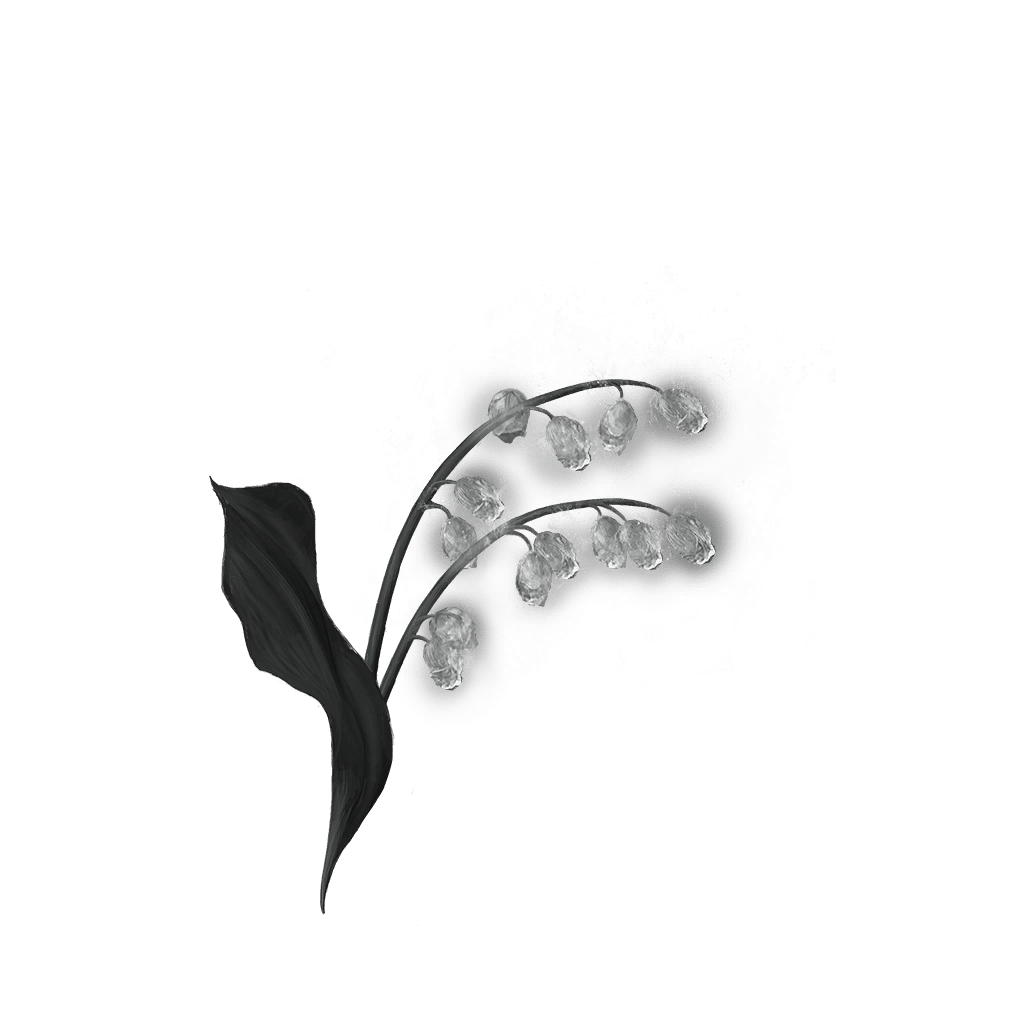 2101 Grave Glovewort 2 bolstering materials