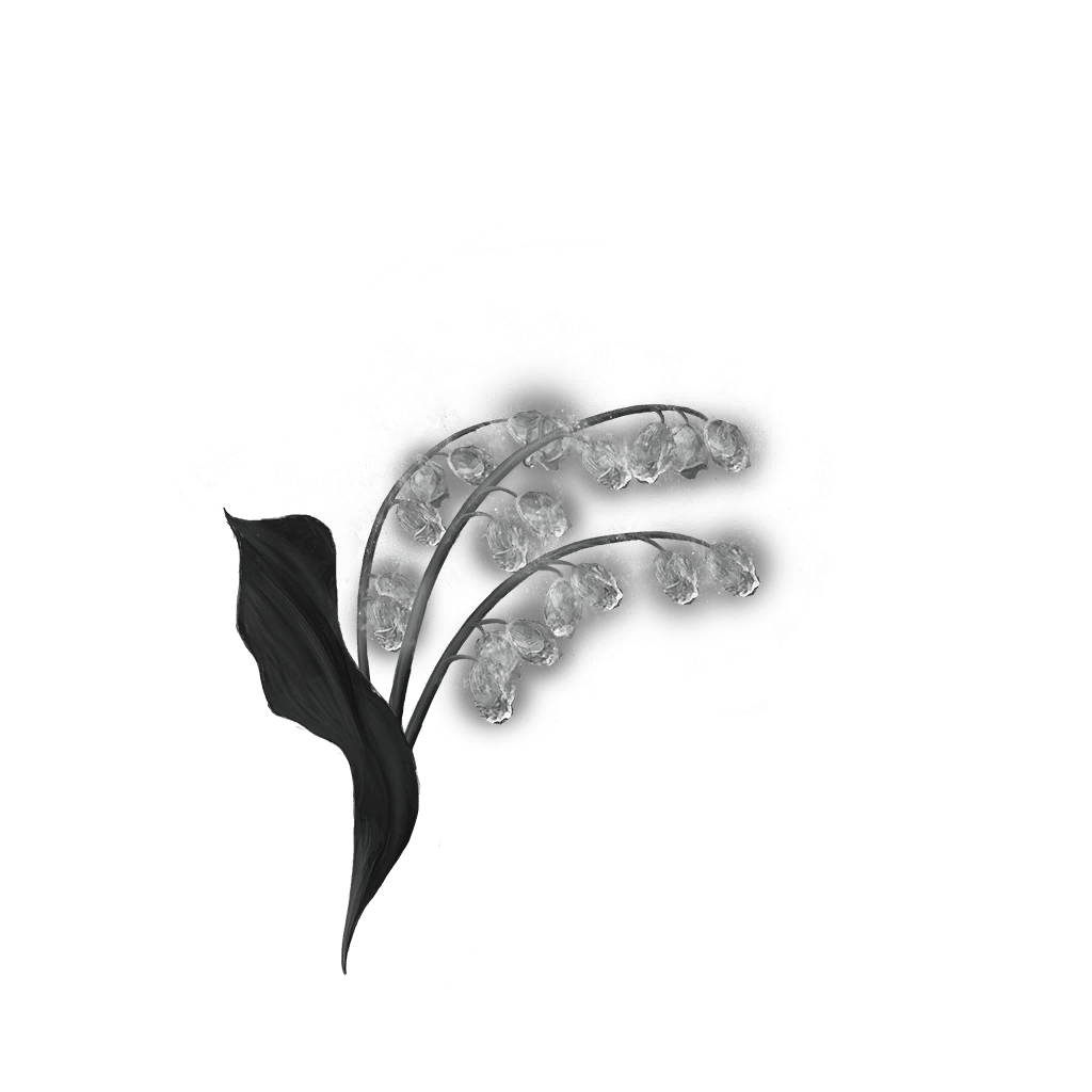 2102 Grave Glovewort 3 bolstering materials