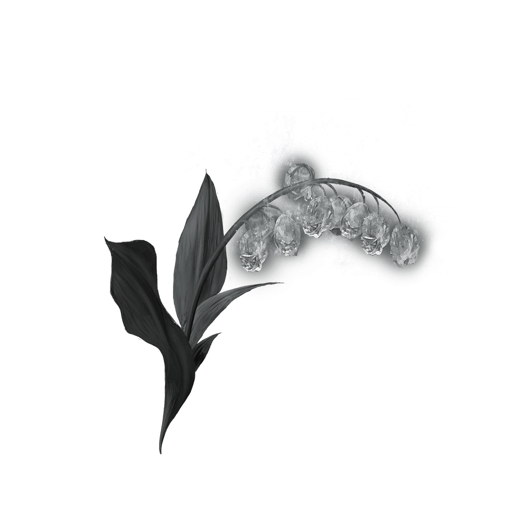 2103 Grave Glovewort 4 bolstering materials