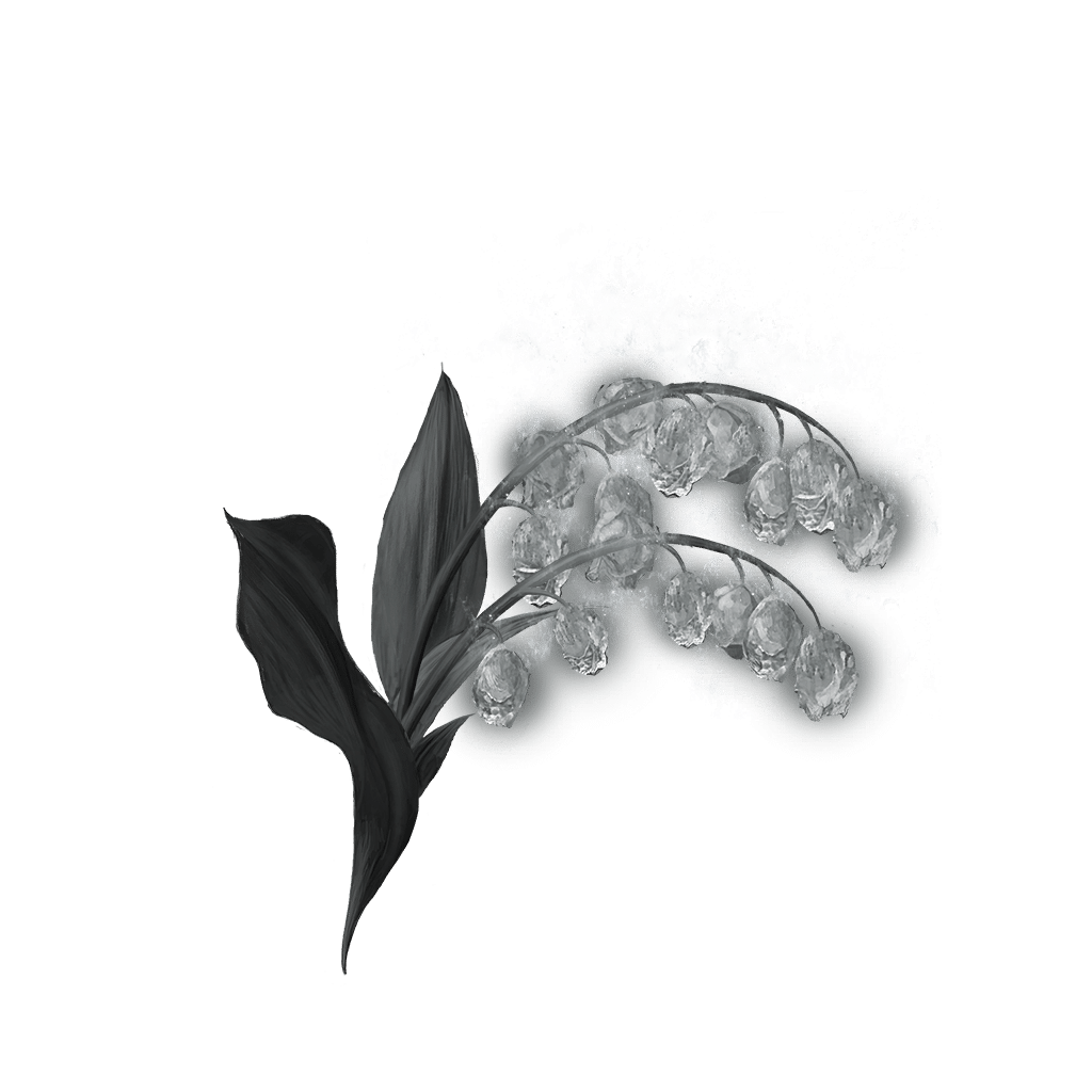 2104 Grave Glovewort 5 bolstering materials