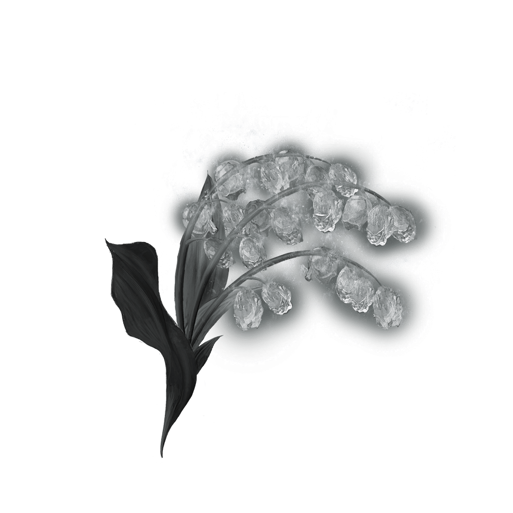 2105 Grave Glovewort 6 bolstering materials