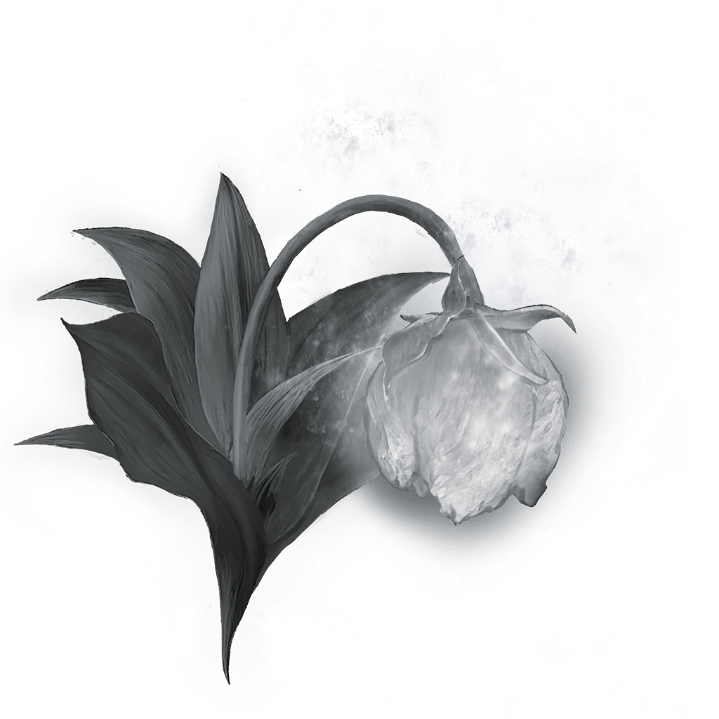 2109 Great Grave Glovewort bolstering materials