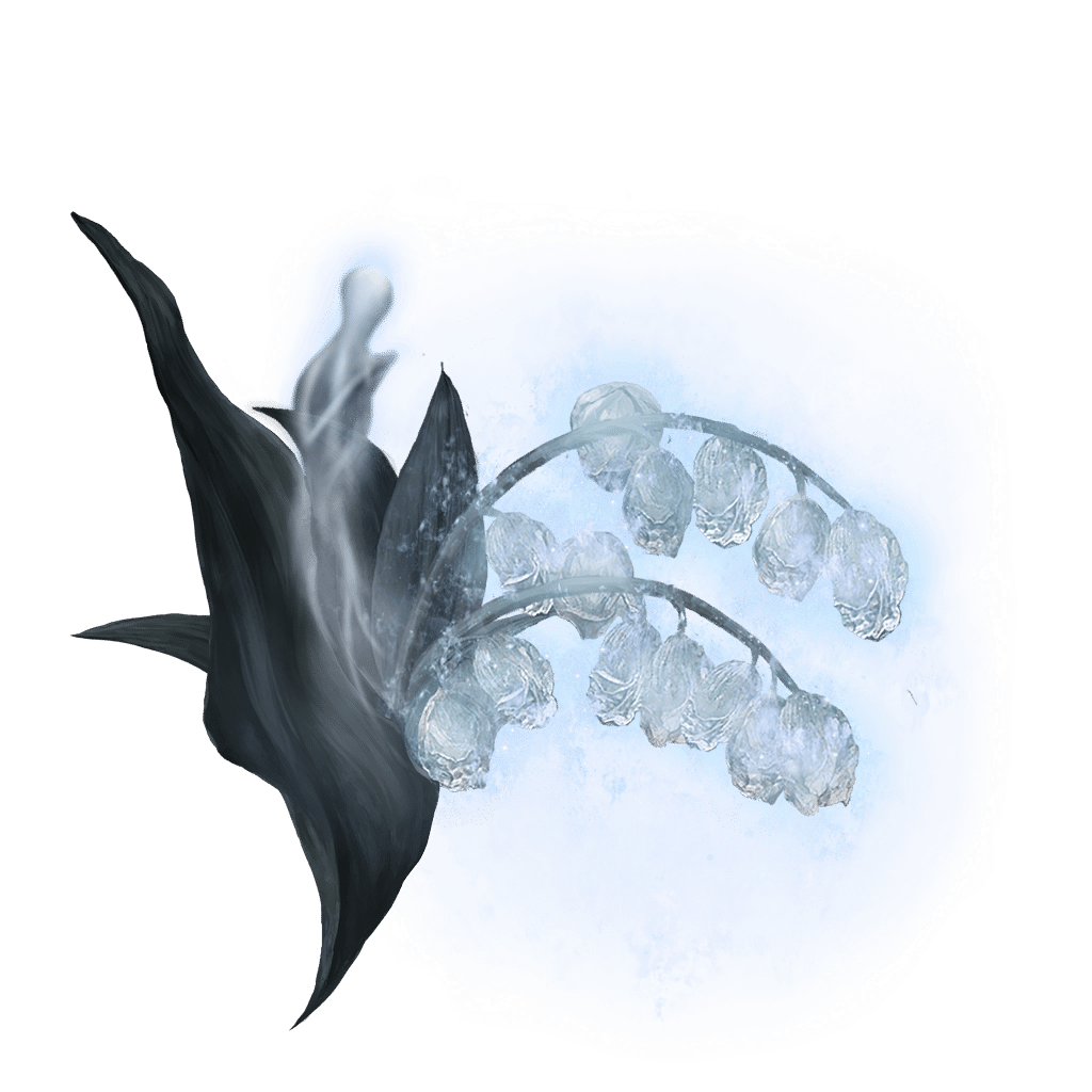 2117 Ghost Glovewort 8 bolstering materials