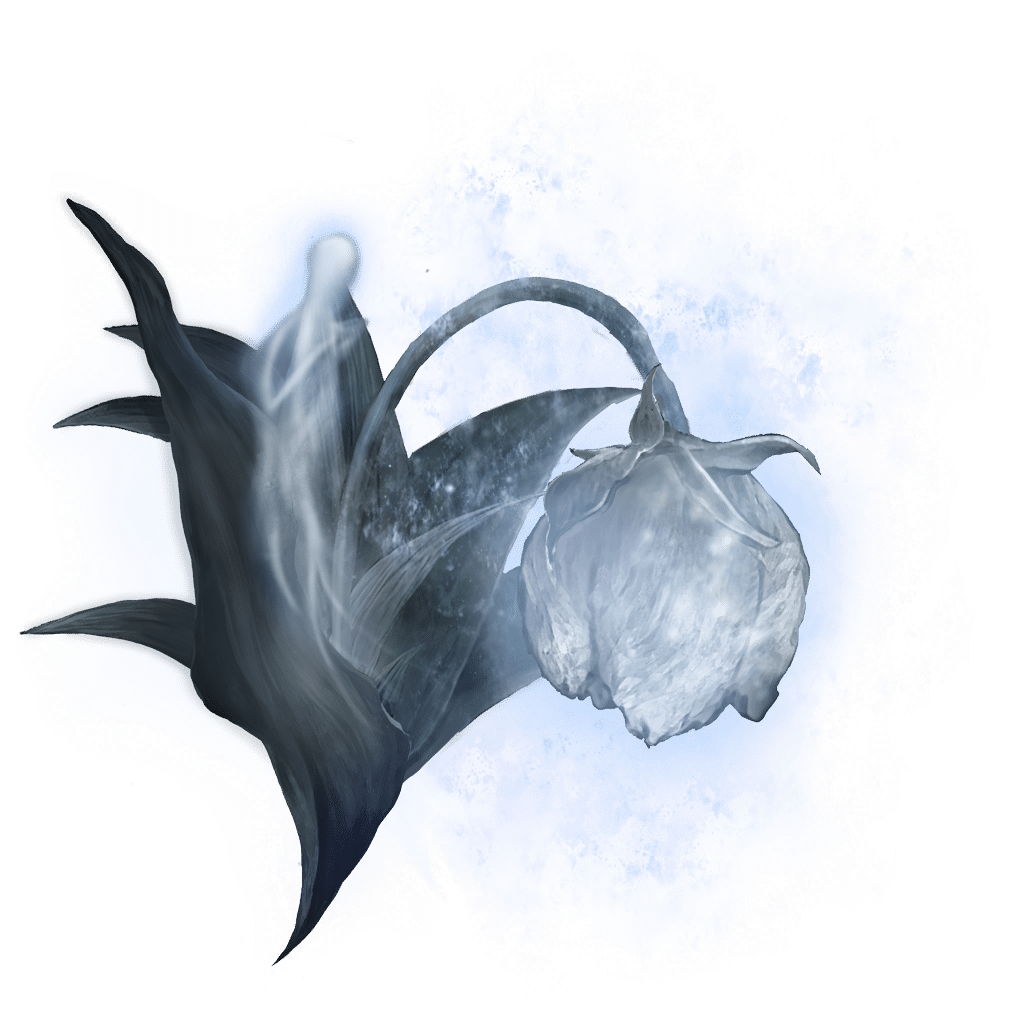 2119 Great Ghost Glovewort bolstering materials