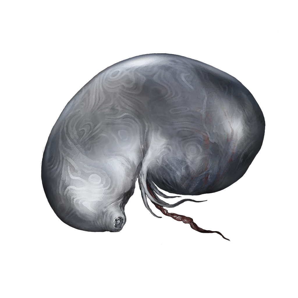 3075 Larval Tear keys