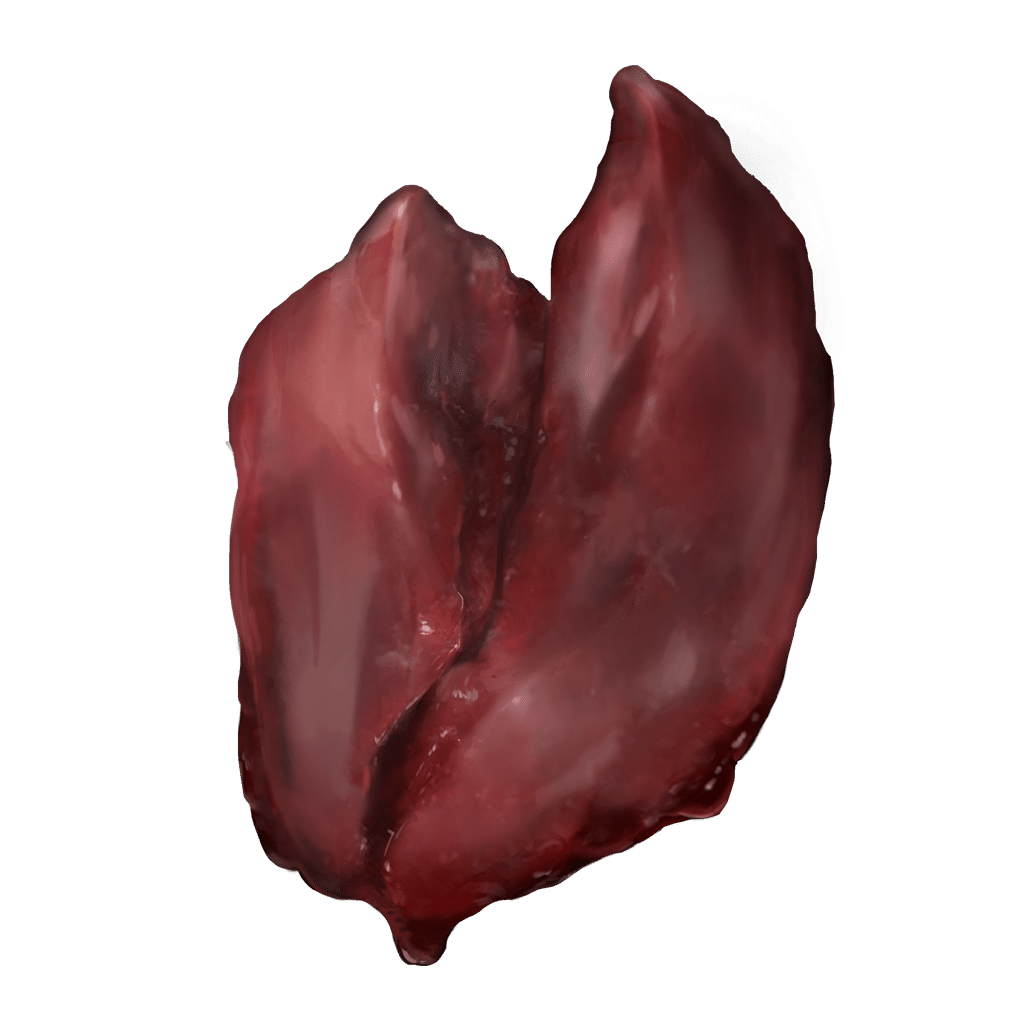 507 Beast Liver crafting materials