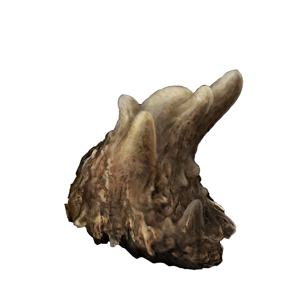 511 Budding Horn crafting materials