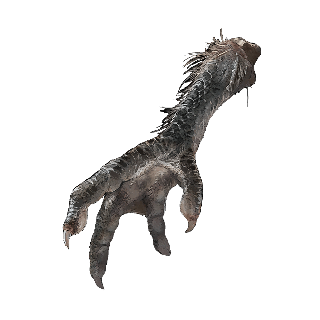 514 Four Toed Fowl Foot crafting materials