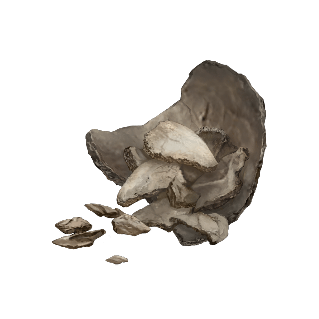 516 Human Bone Shard crafting materials