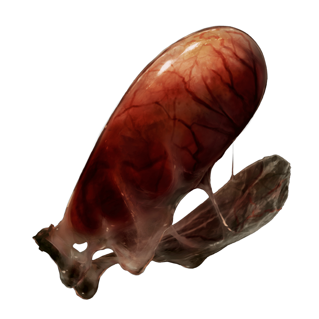 520 Land Octopus Ovary crafting materials