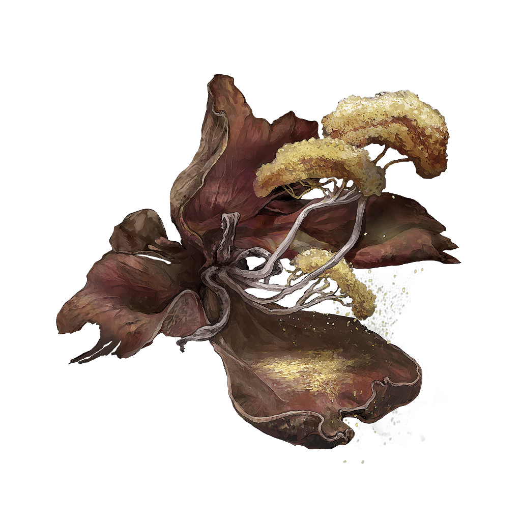 521 Miranda Powder crafting materials