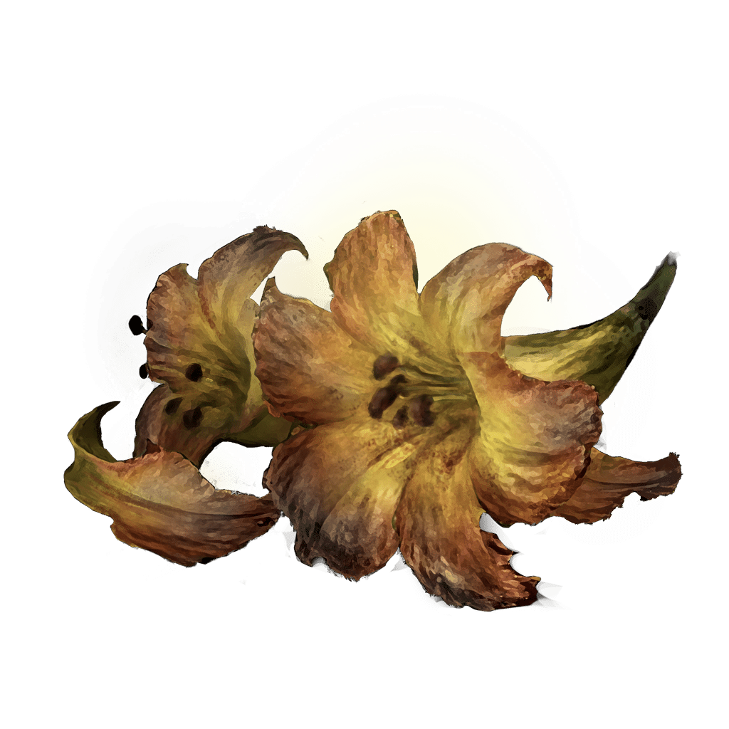 526 Erdleaf Flower crafting materials