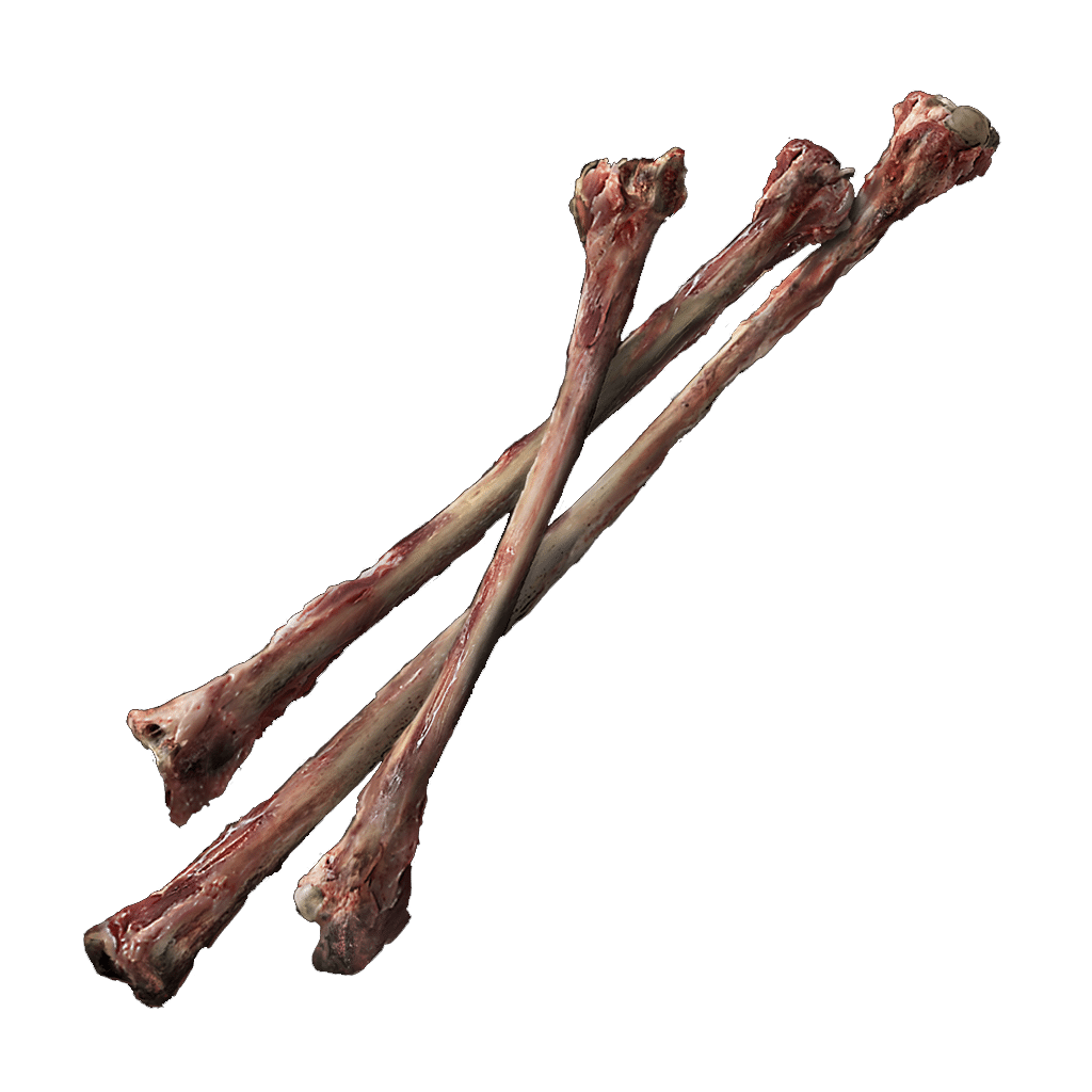 540 Thin Beast Bones crafting materials