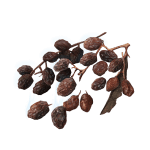 595 Rowa Raisin tools