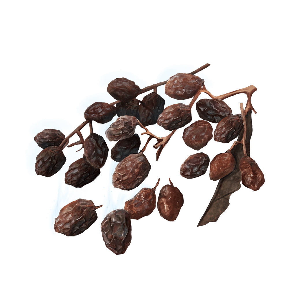 595 Rowa Raisin tools