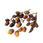 607 Sweet Raisin tools