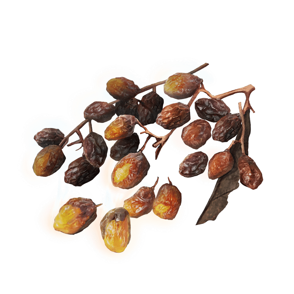 607 Sweet Raisin tools
