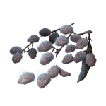 608 Frozen Raisin tools