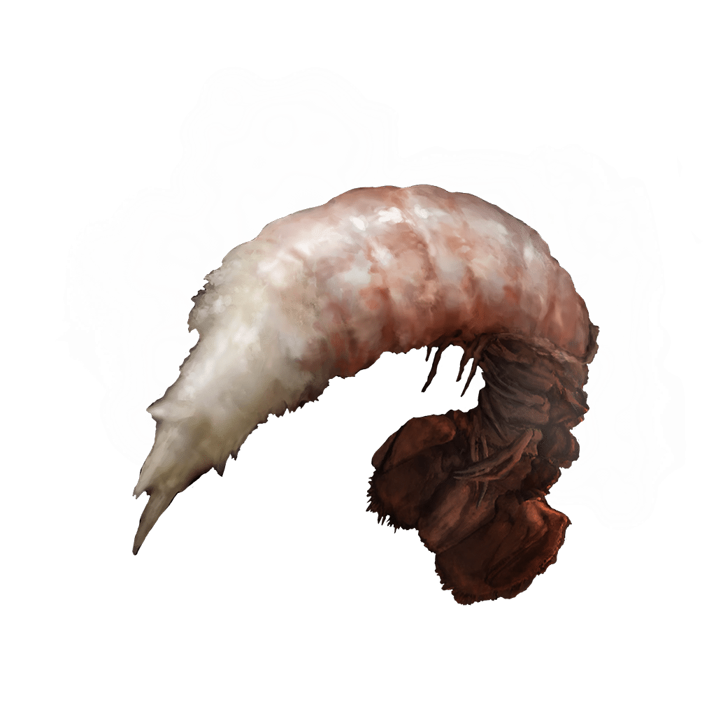639 Boiled Prawn tools