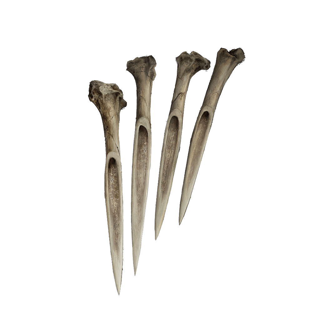 82 Bone Dart tools