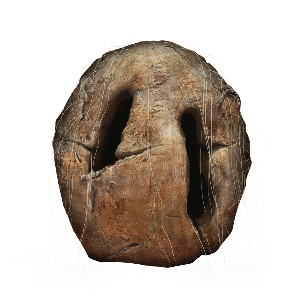 97 Prattling Pate Apologies tools